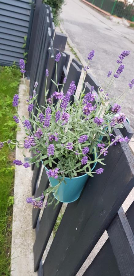 Przy Porcie Lägenhet Łeba Exteriör bild